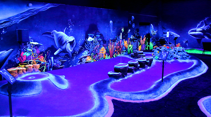 Under water themed room